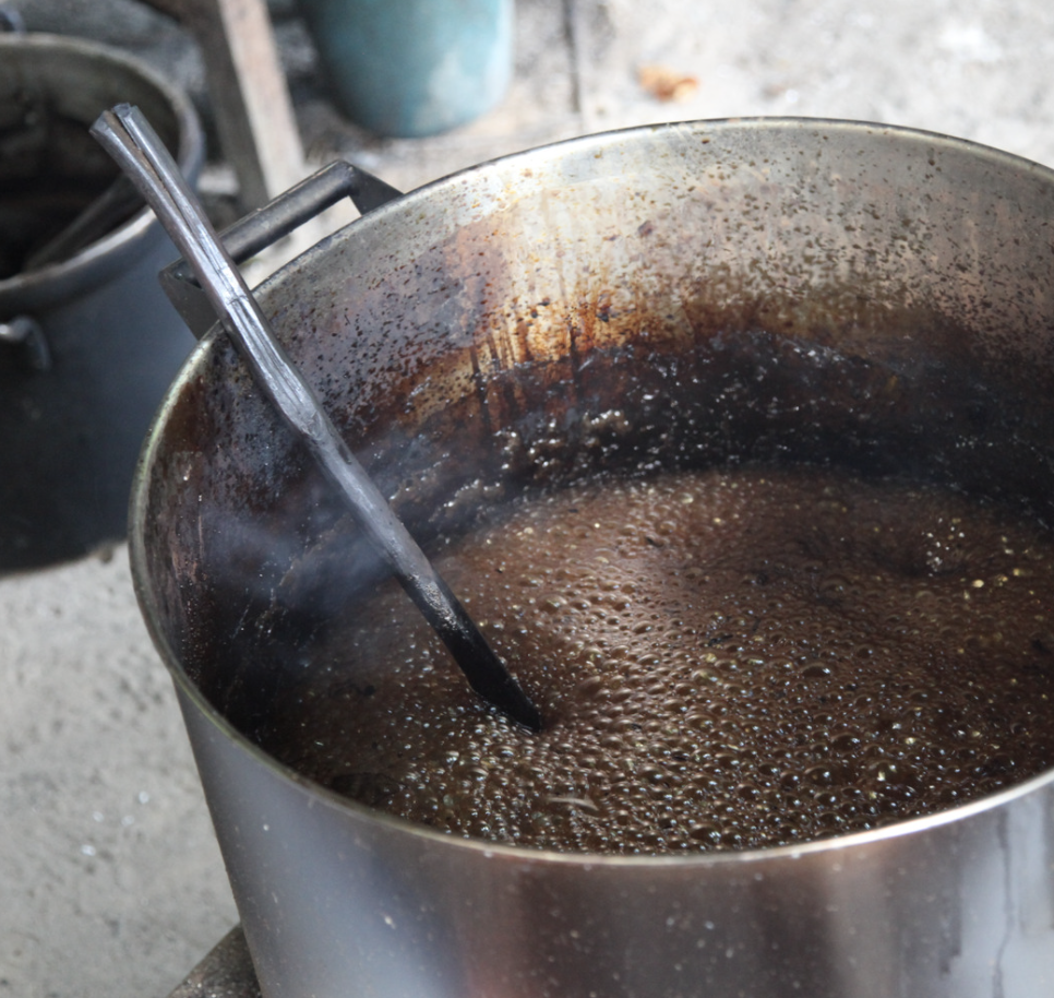 Ayahuasca is most often in the form of a tea or thick brew