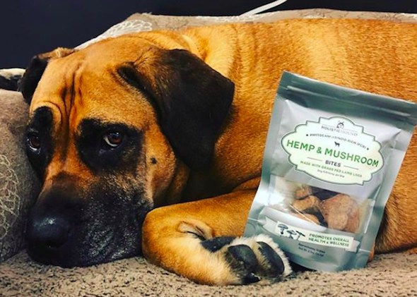 Holistic Hound CBD Dog Treats