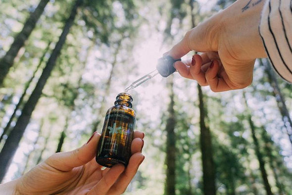 Wildflower CBD+ Wellness Tincture